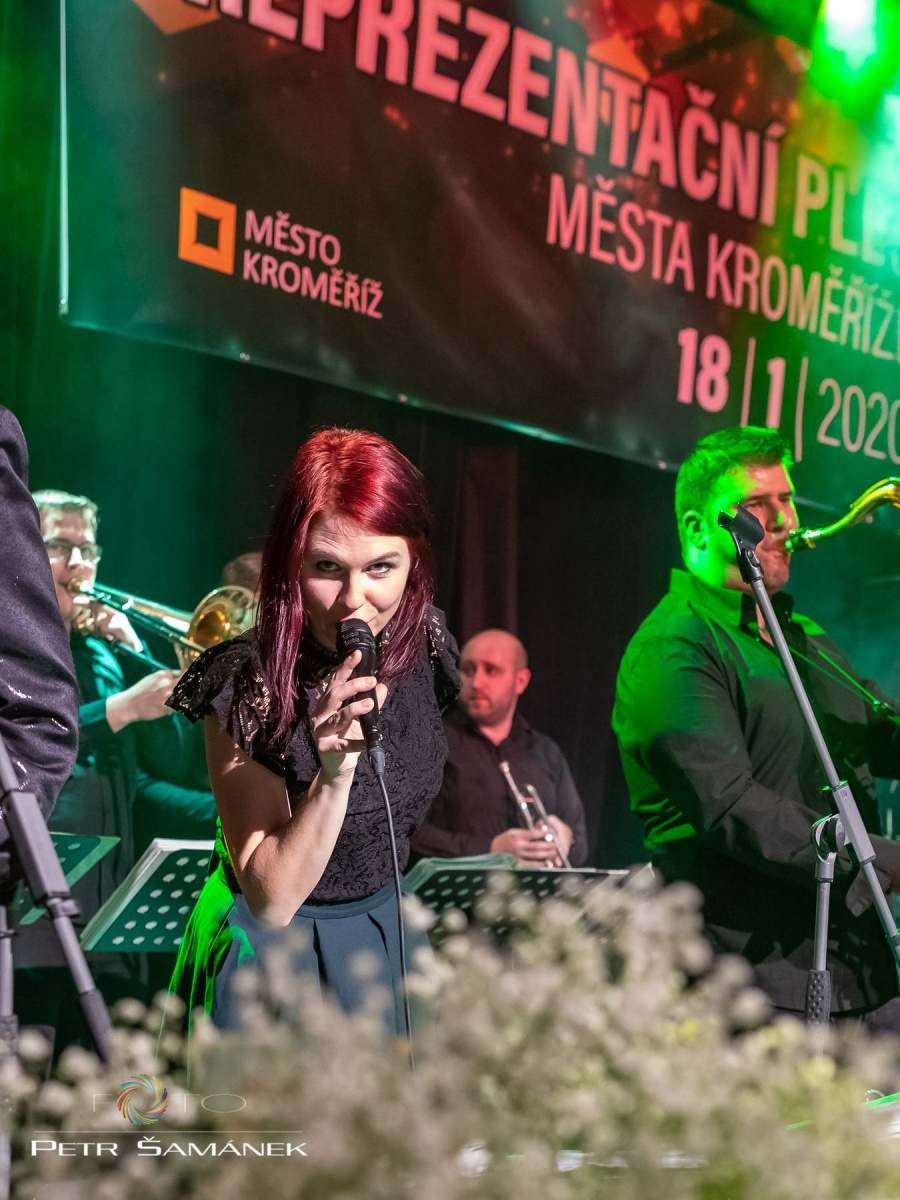 ples města kroměříže